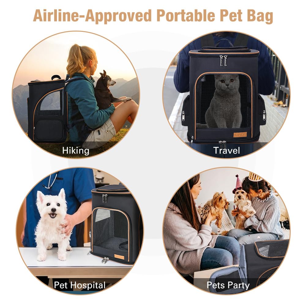 Lekereise Black Cat Backpack safety leash keeps pets secure while exploring.