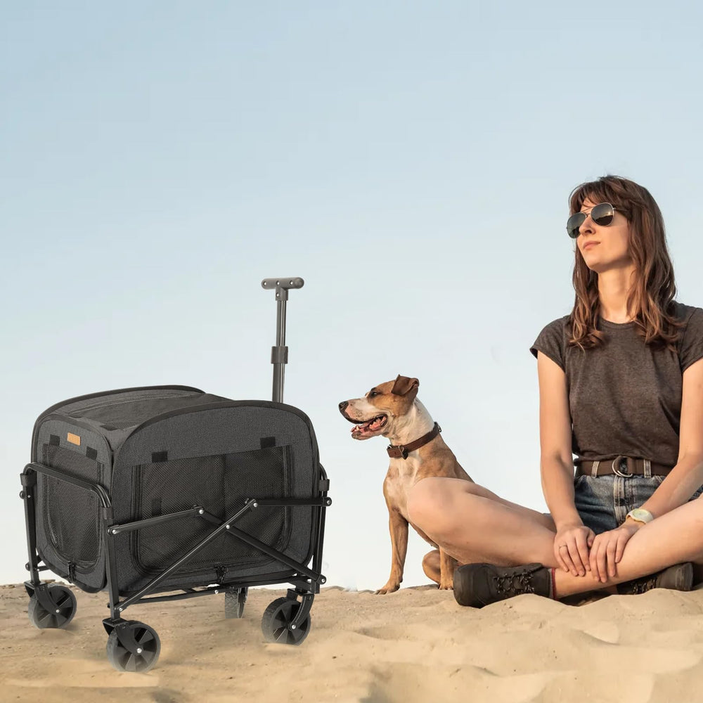 Lekereise soft-sided foldable pet carrier compact for storage and travel