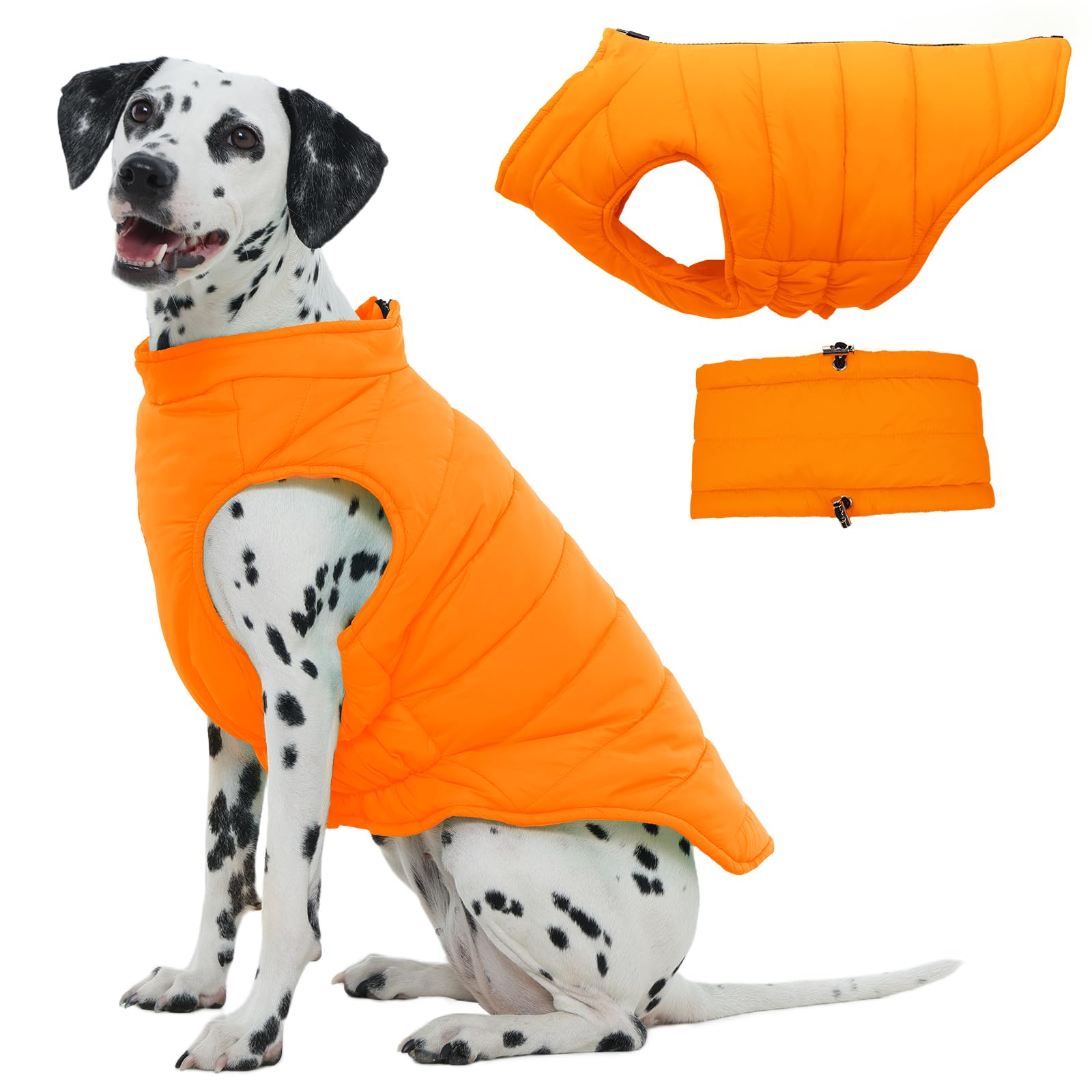 LeleTail large dog winter coat back-view shows secure zipper for easy on/off during cold walks