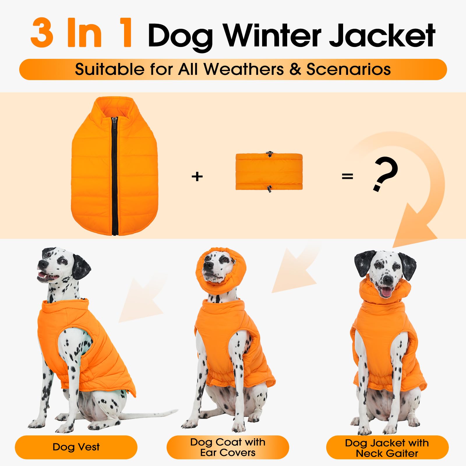 LeleTail medium dog jacket back zipper ensures easy, secure on/off during play.