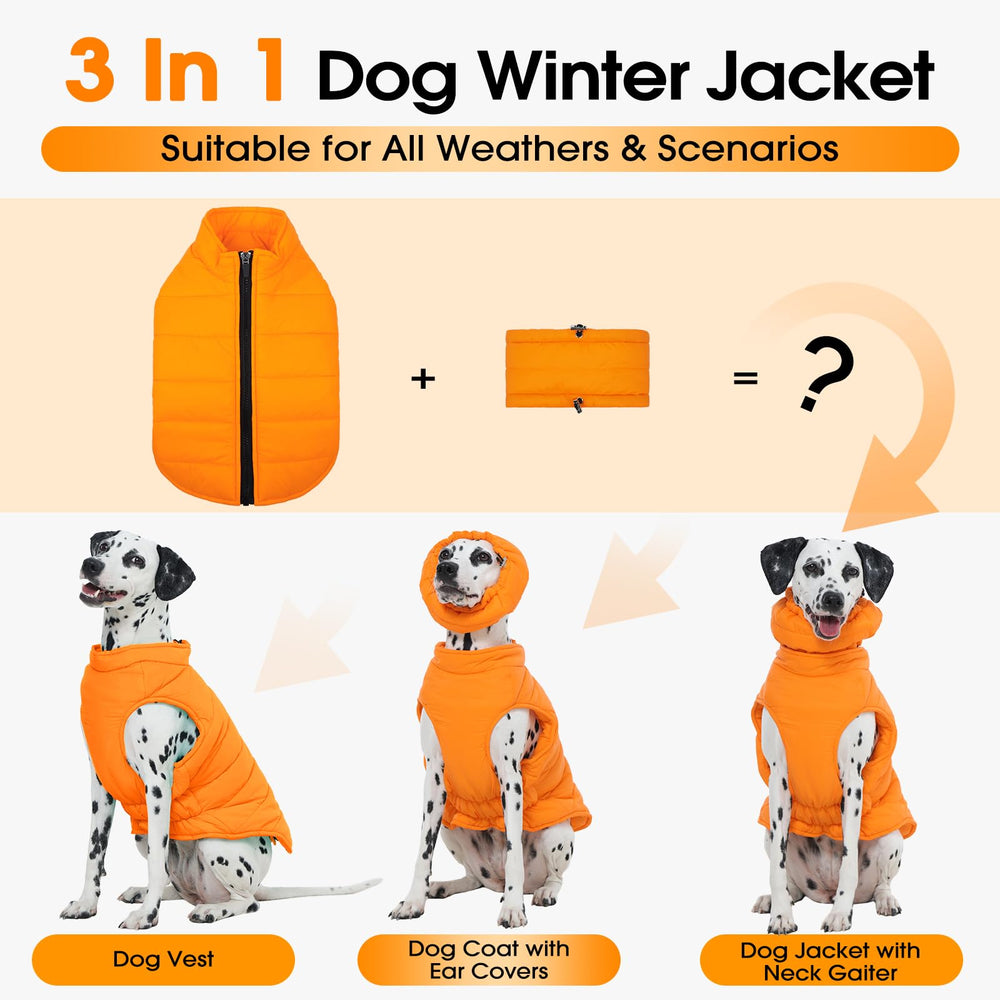 LeleTail medium dog jacket back zipper ensures easy, secure on/off during play.
