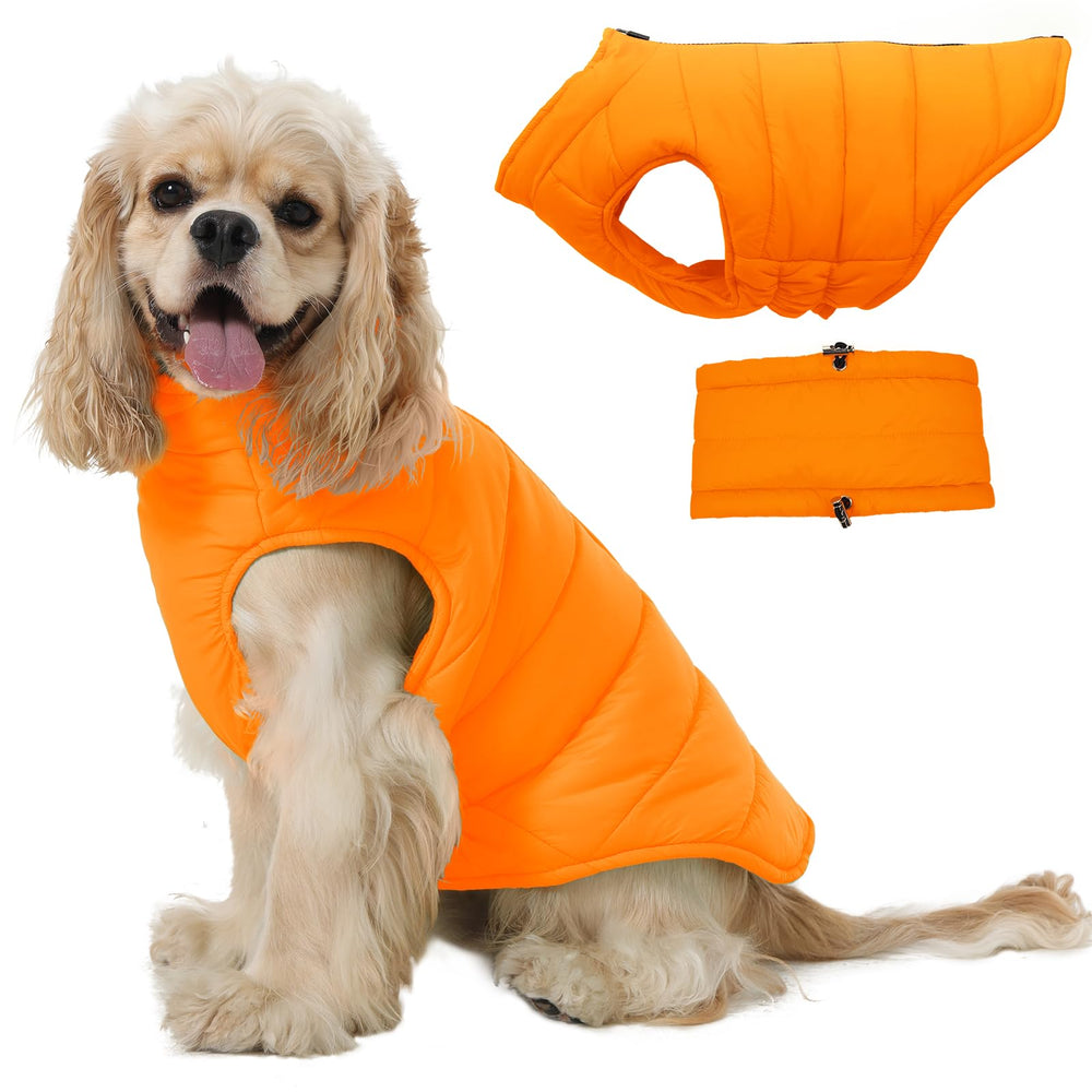 LeleTail medium dog jacket front view offers warm, windproof protection for cold walks.