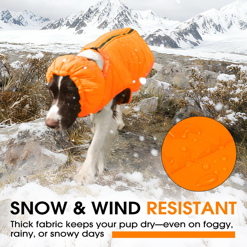 LeleTail neck wrap adds extra wind protection for cold walks.
