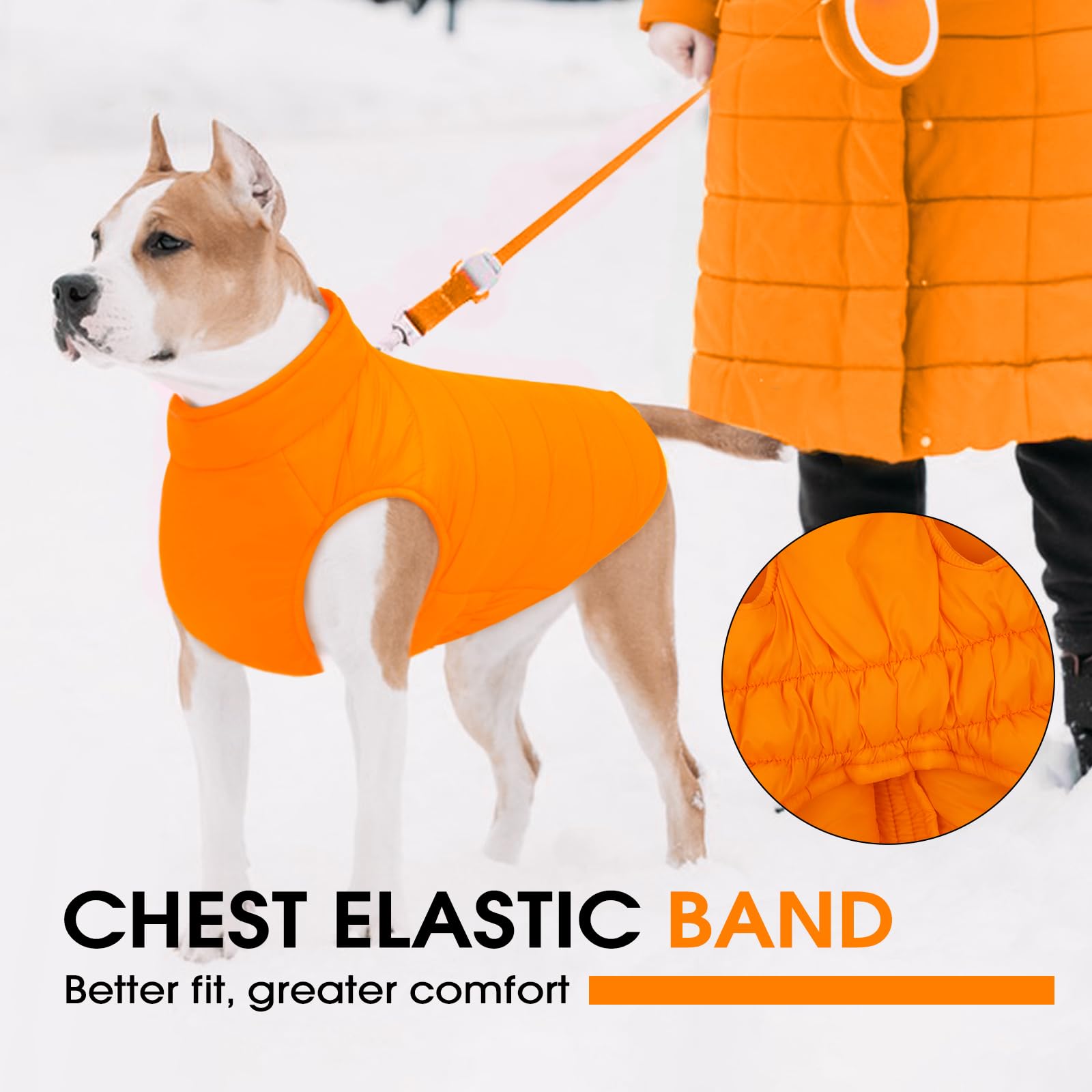 LeleTail waterproof outer shell keeps paws dry during wet walks.