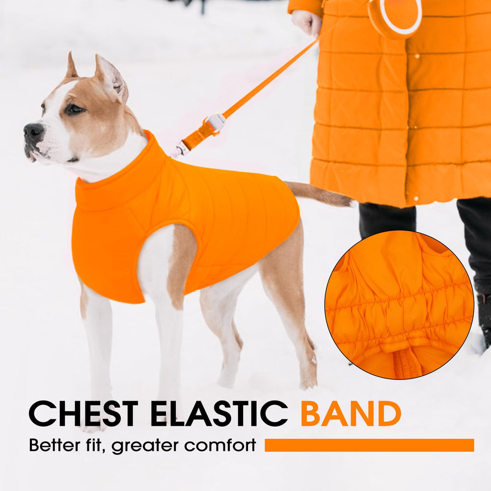 LeleTail waterproof outer shell keeps paws dry during wet walks.