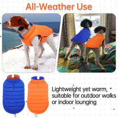 LeLePet adjustable-fastener dog coat demonstrates a secure fit for active dogs.