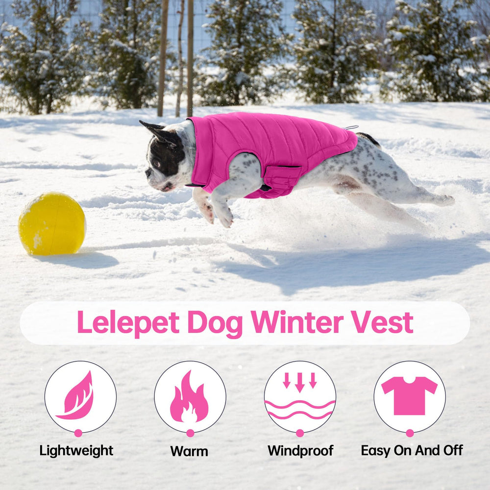 LeLePet adjustable magic strap ensures secure, easy on/off.
