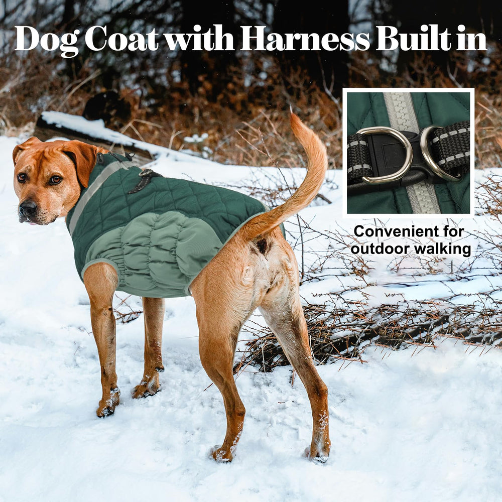 Lelepet back-zip dog coat designed to prevent fur snagging