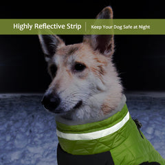 LeLePet built-in harness coat simplifies secure everyday wear.
