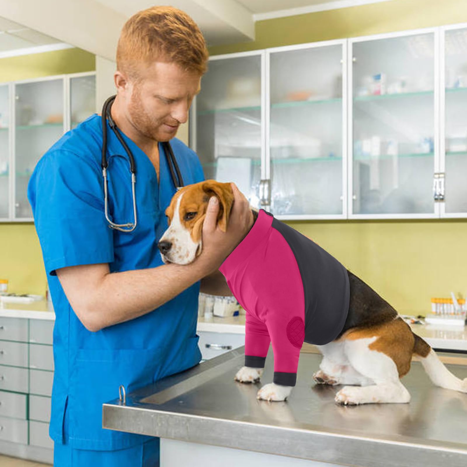 LeLePet cone-alternative comfort supports gentle recovery without restraint