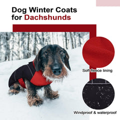 LeLePet dachshund coat with fleece lining keeps dog warm on cold days