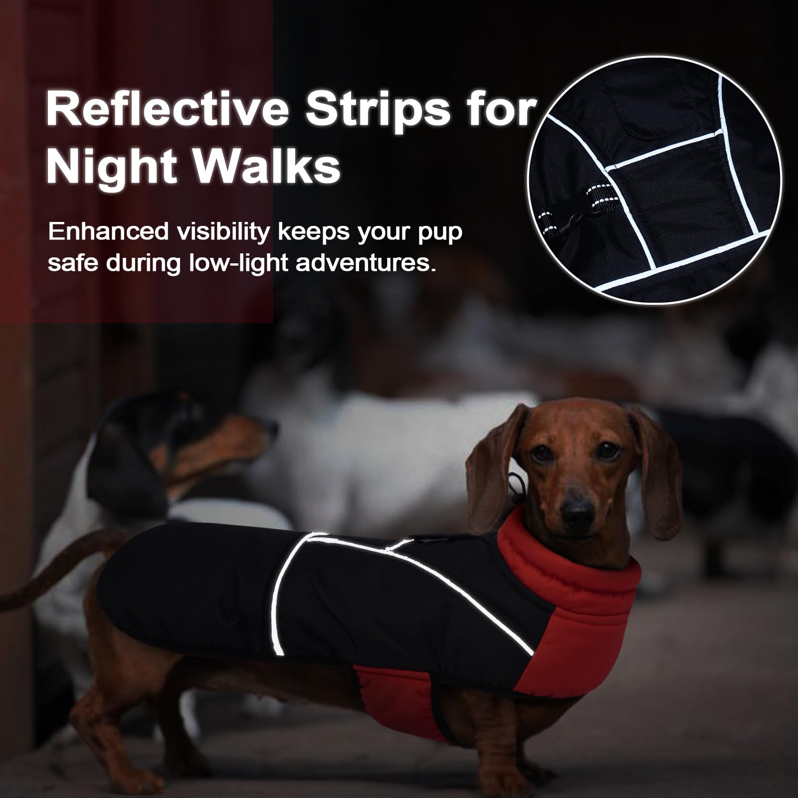 LeLePet dachshund coat harness hole enables easy leash attachment