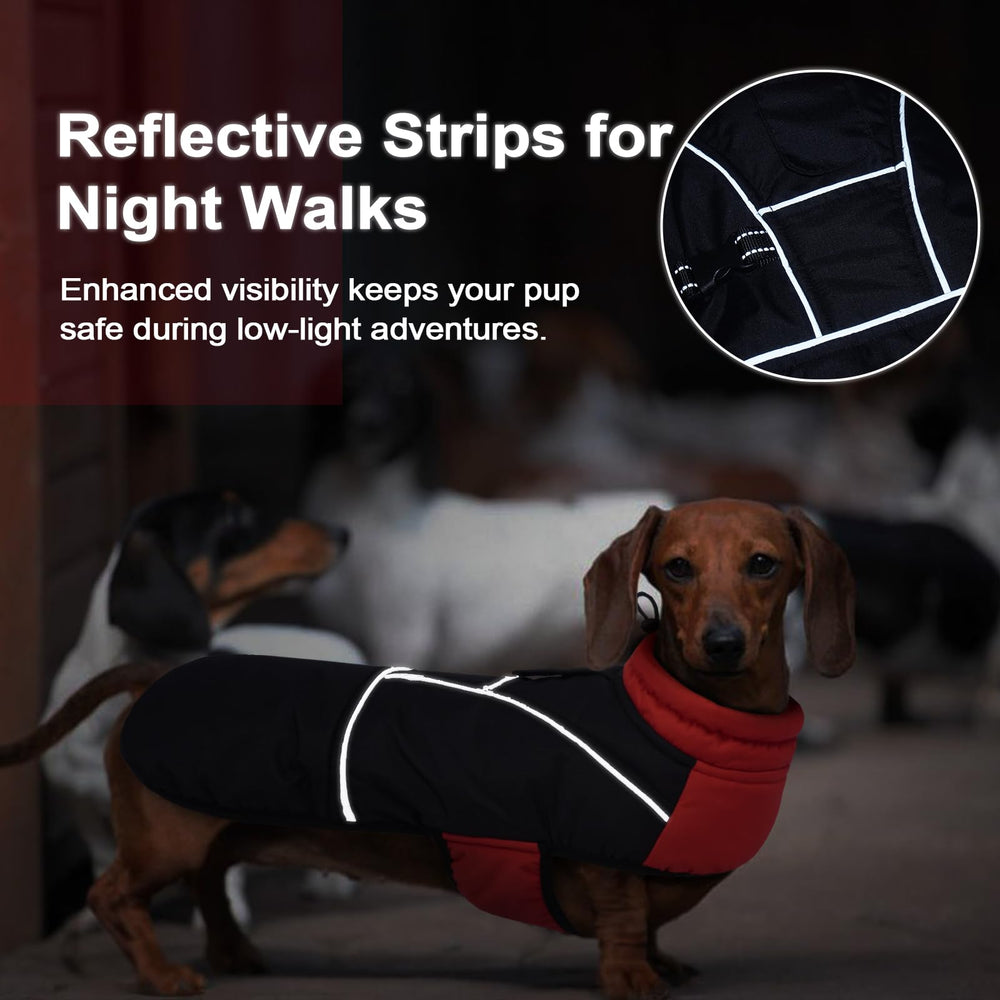 LeLePet dachshund coat harness hole enables easy leash attachment