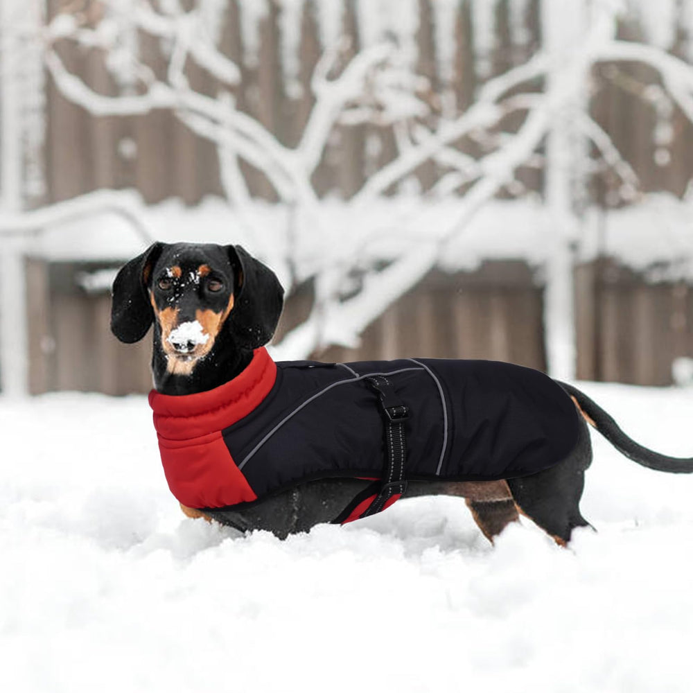 LeLePet dachshund coat lightweight yet durable for daily wear