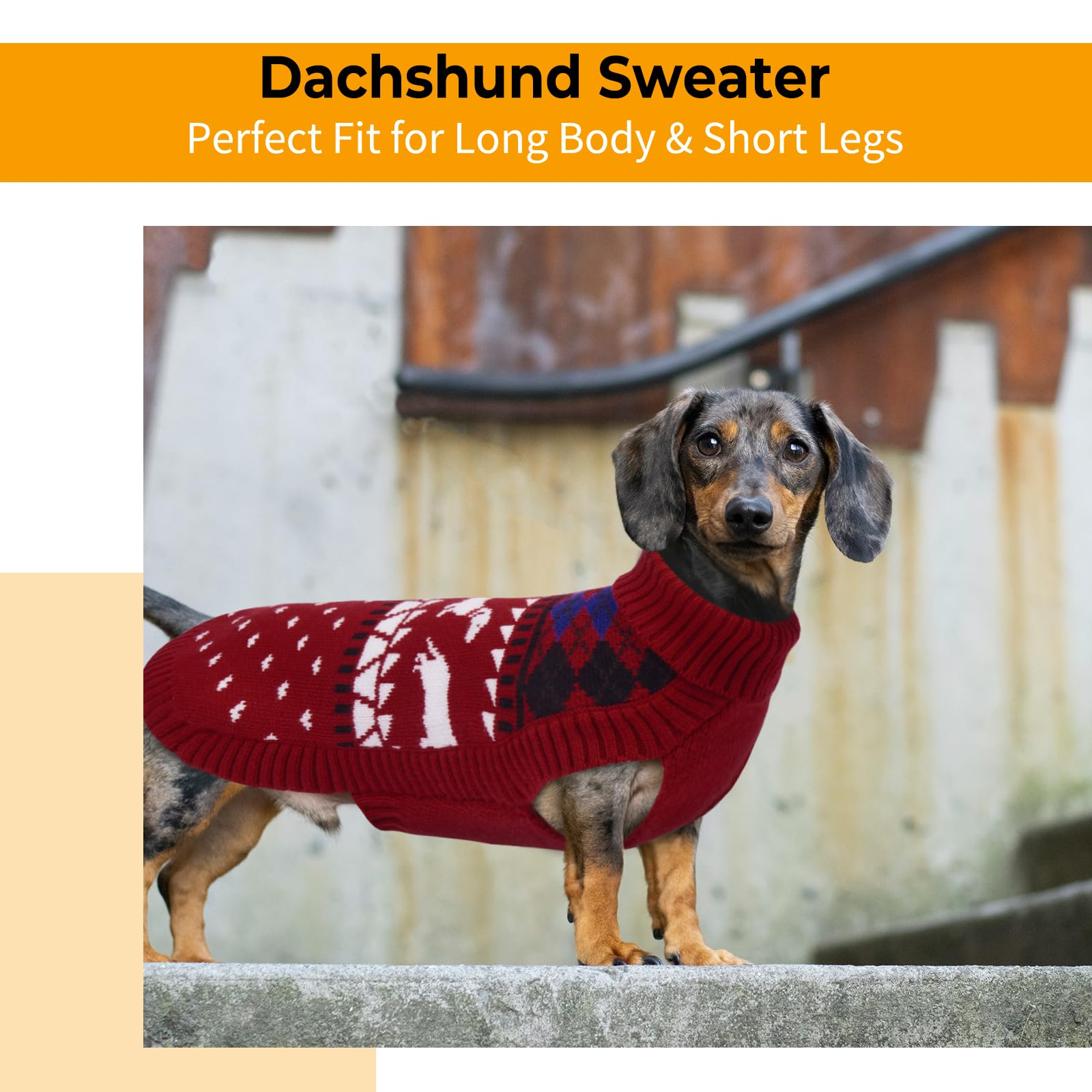 LeLePet dachshund sweater with dachshund motif ideal for parks and holidays