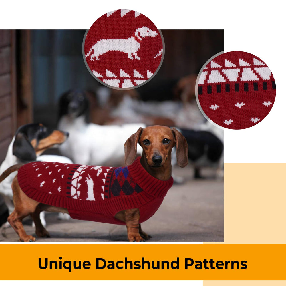 LeLePet dachshund sweater on dog during walk provides warmth and freedom