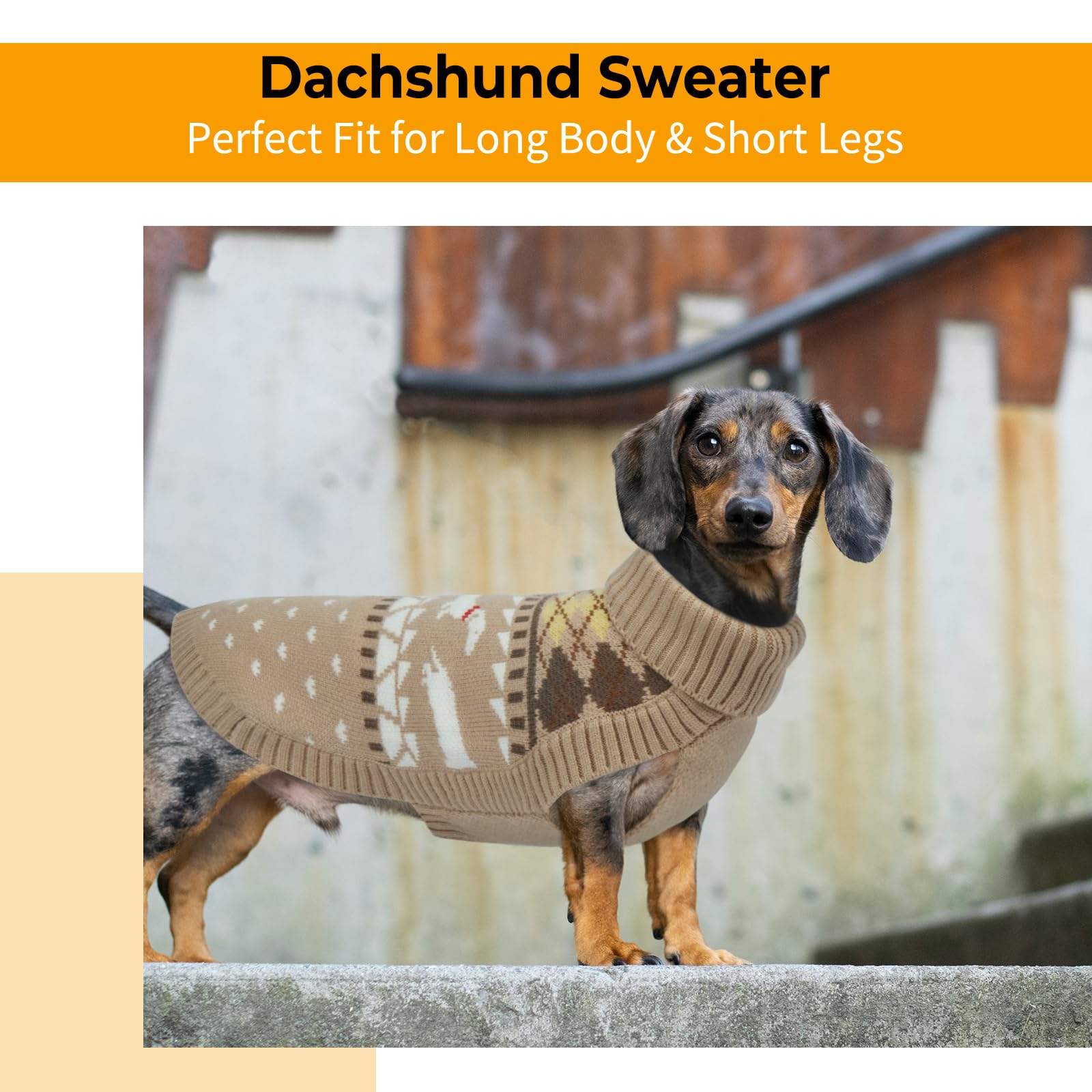 LeLePet dachshund sweater knit-pattern with exclusive motif for photos.