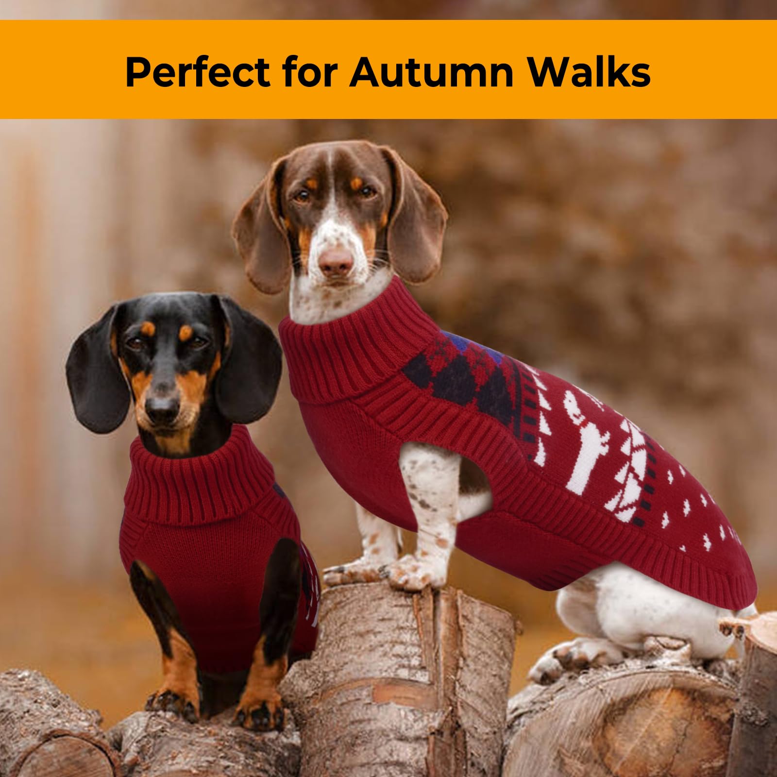 LeLePet dachshund sweater packaging gift-ready image for dachshund lovers
