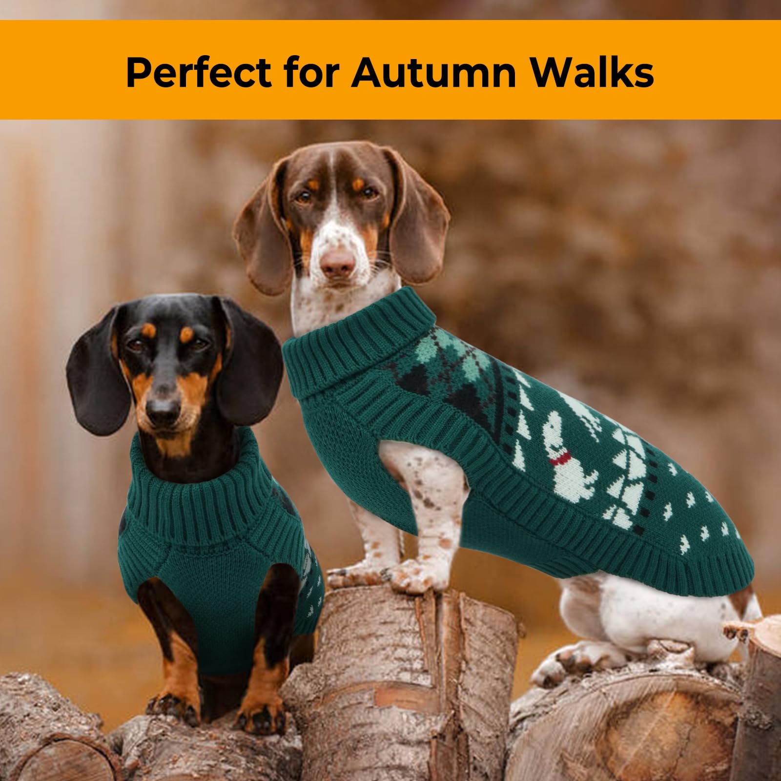 LeLePet Dachshund Sweater size range XS-XL on different dog sizes.