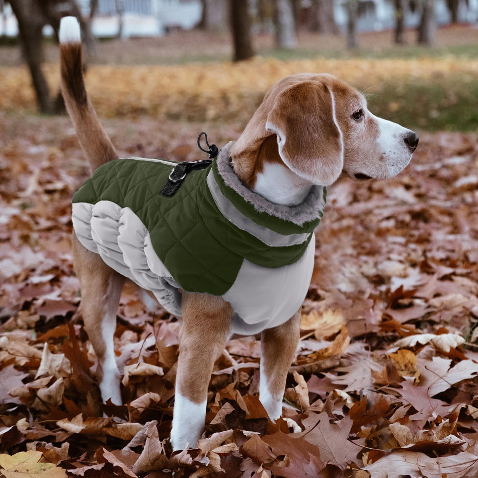 LeLePet dog coat durable cuff edges and machine washable design for easy care.