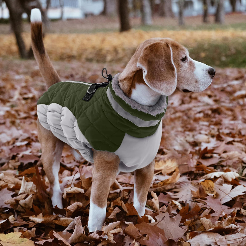 LeLePet dog coat durable cuff edges and machine washable design for easy care.