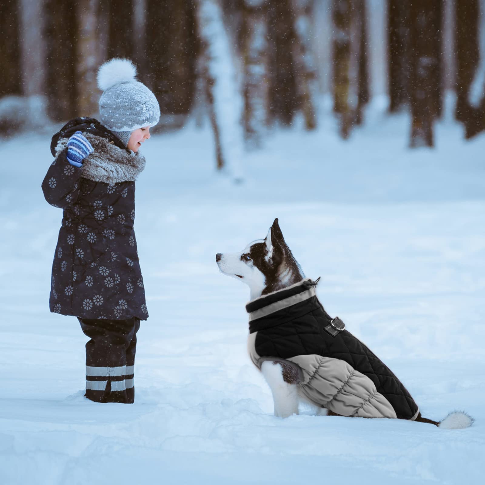 LeLePet adjustable collar drawstring shields neck from wind and snow.