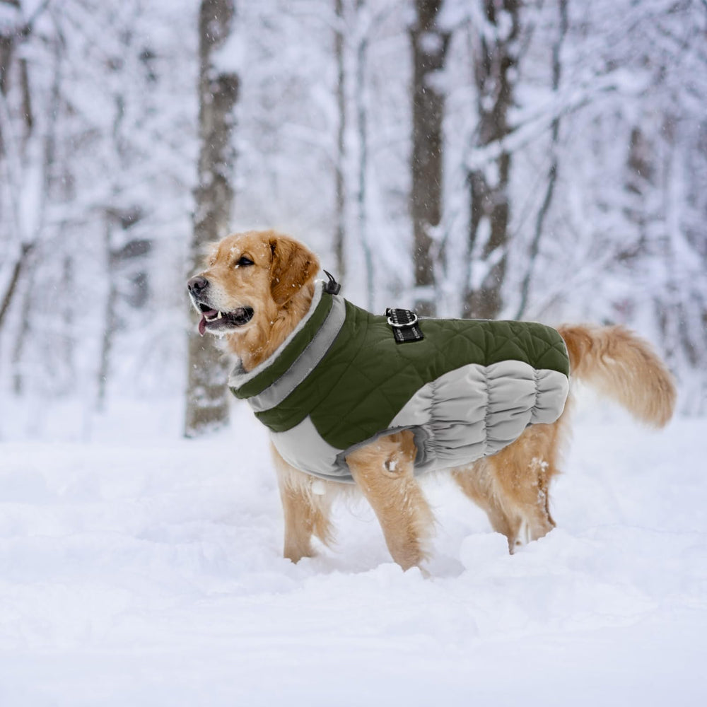 LeLePet dog coat elastic abdomen band prevents riding up for comfortable fit.