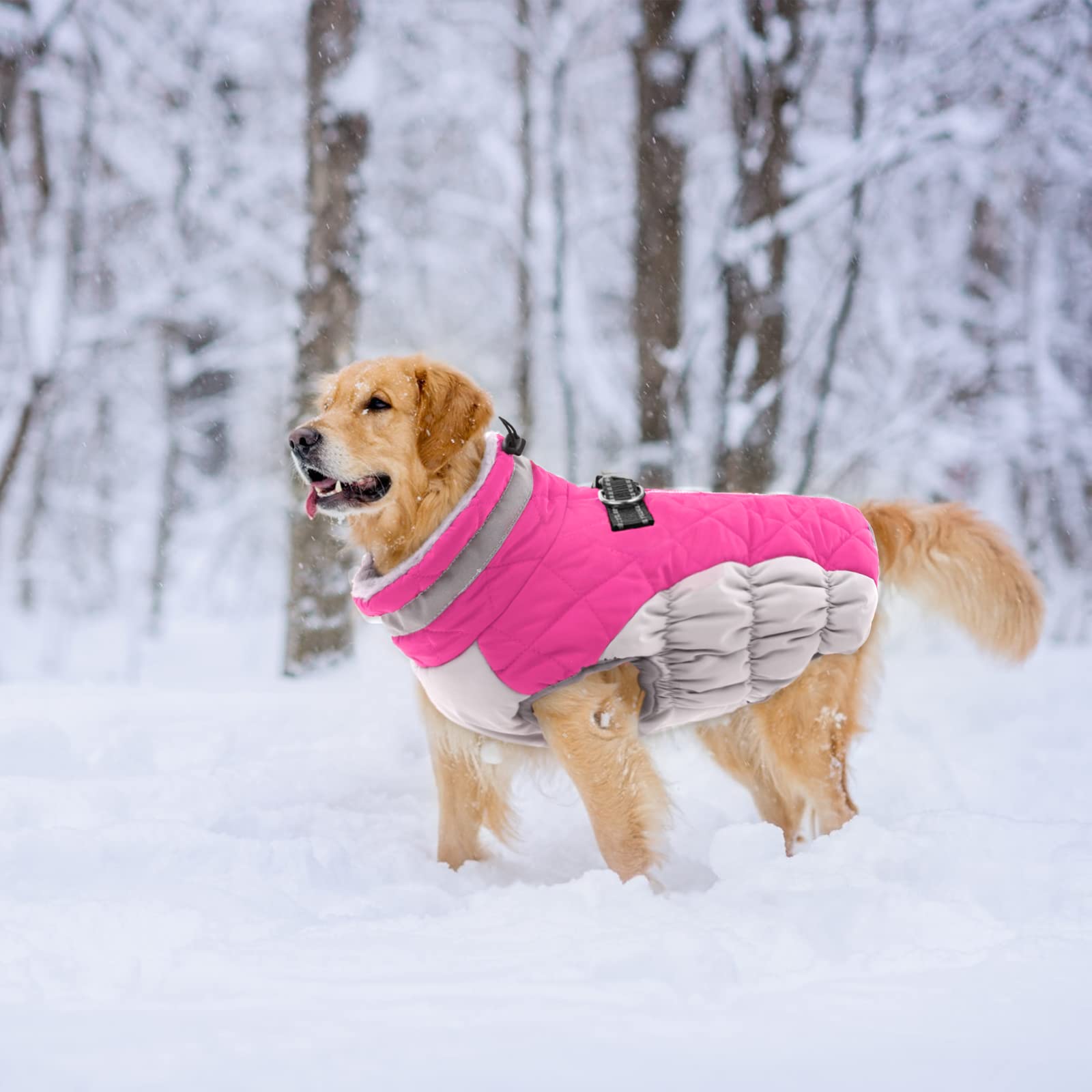 LeLePet elastic abdomen band prevents tightness while cozying your pup.