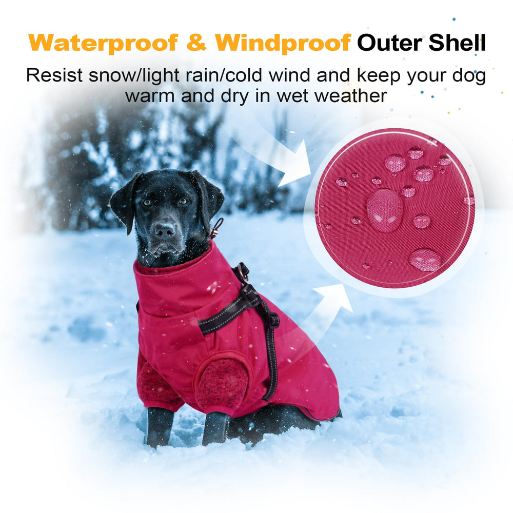 LeLePet dog coat fleece liner inside adds cozy warmth on chilly autumn strolls.