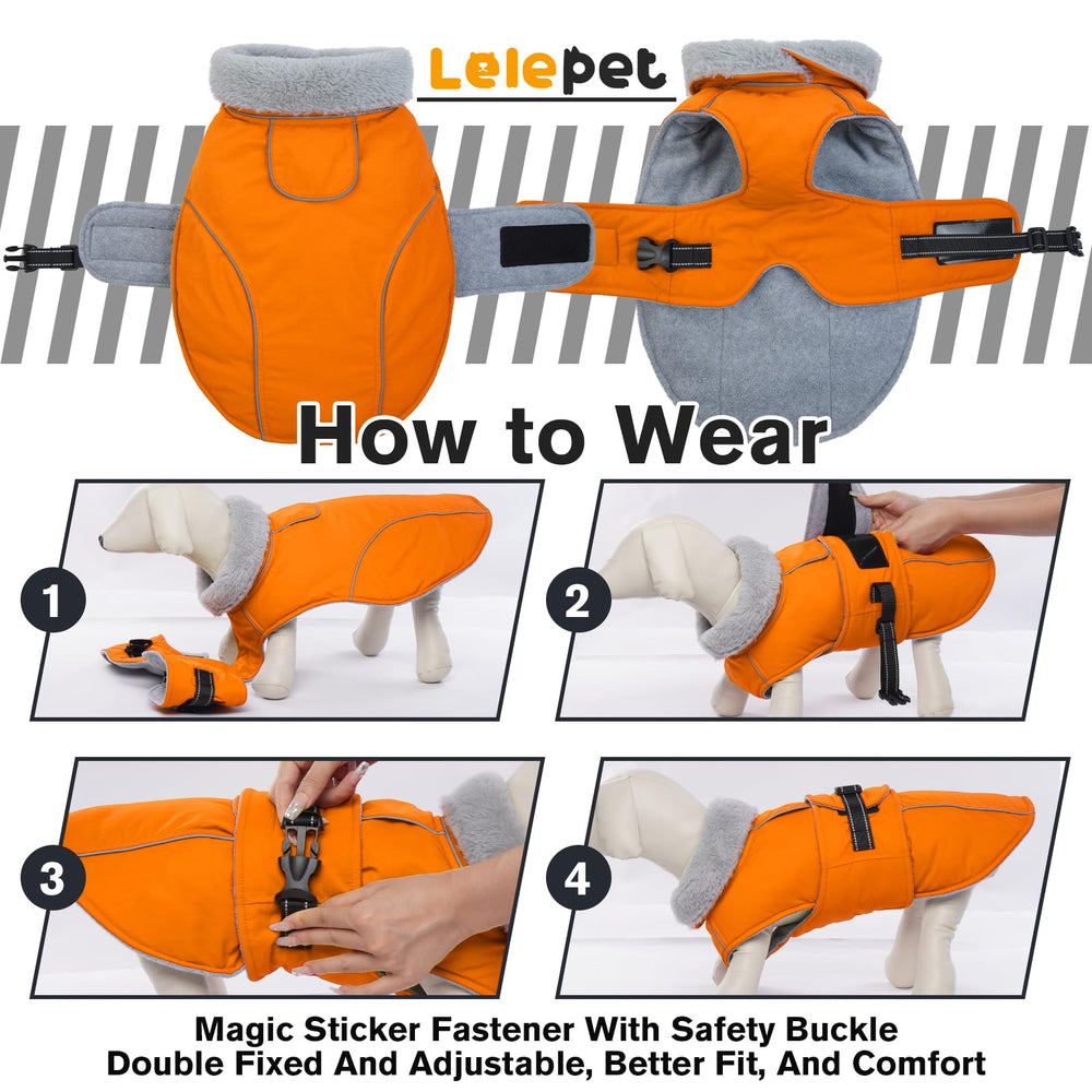 LeLePet coat leash hole feature on back for convenient outdoor walks.