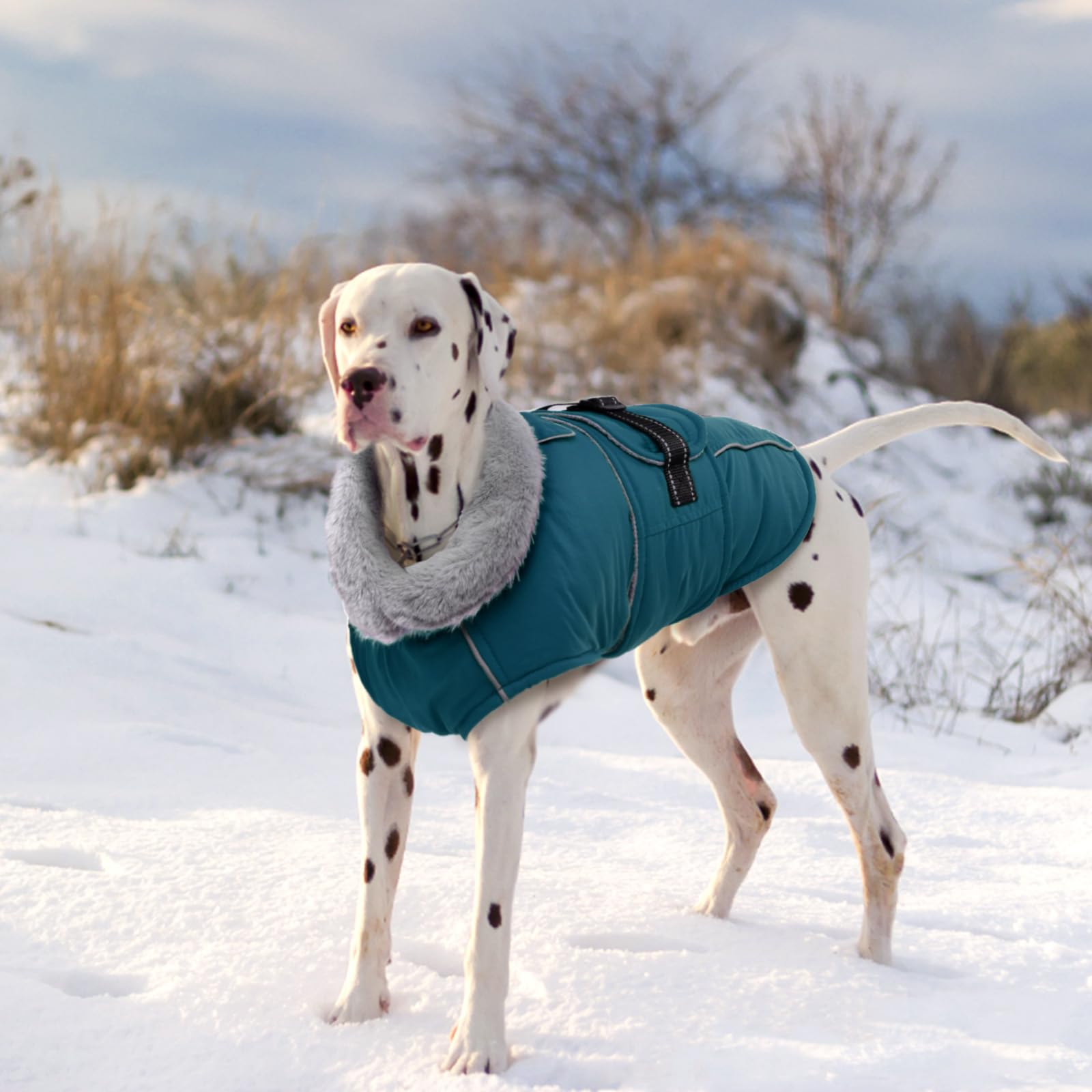 Lelepet Coat for Outdoor Hiking and Winter Adventures.