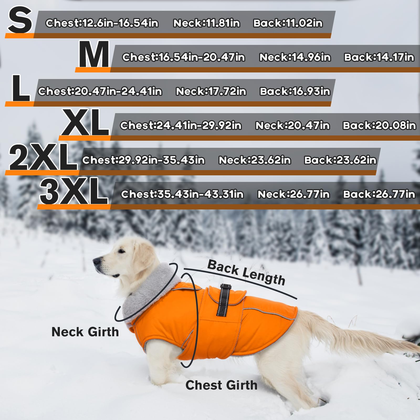 LeLePet reflective strips on dog coat enhance night walk visibility.
