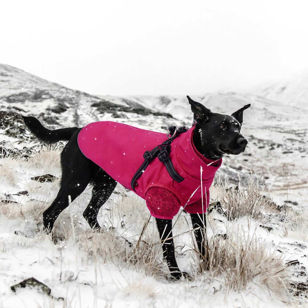 LeLePet dog coat size range visual shows availability from S to 3XL.