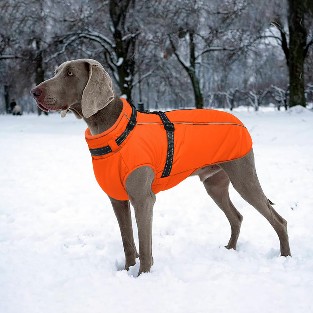LeLePet seven-size range fits tiny to large dogs with comfortable warmth.