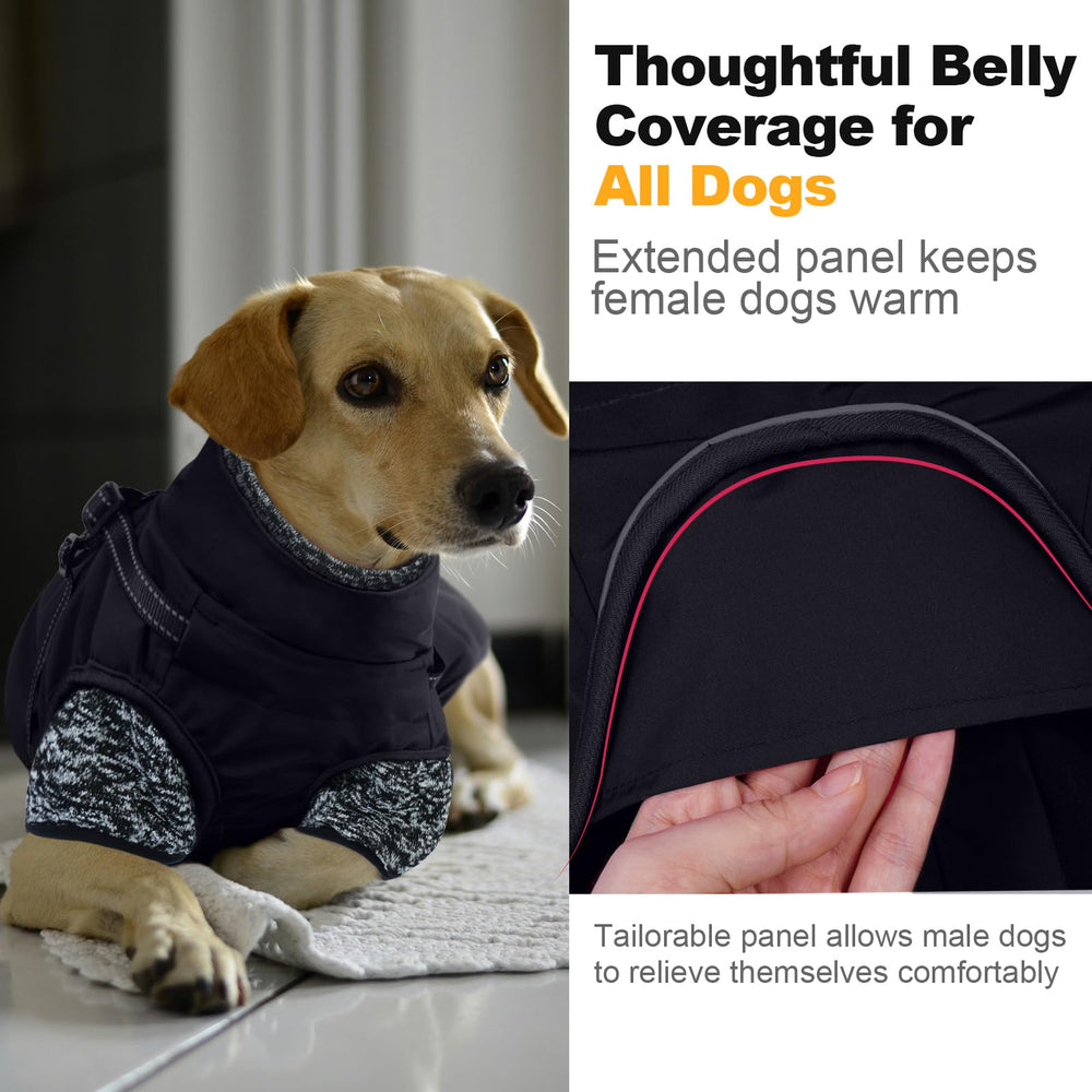 Lelepet dog coat sizing chart shows range from small to 3XL