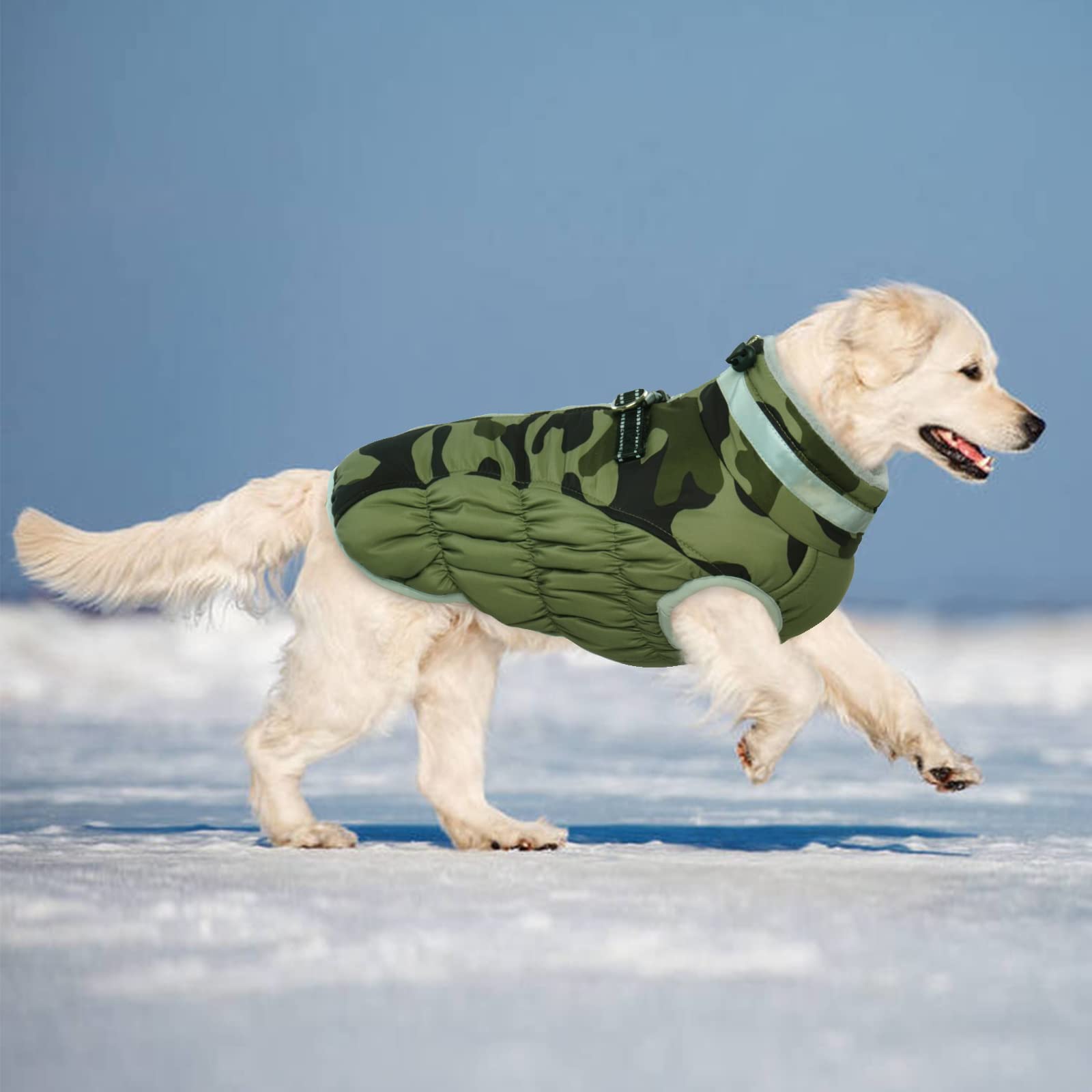 LeLePet soft fleece lining delivers cozy warmth for cold-weather outings.