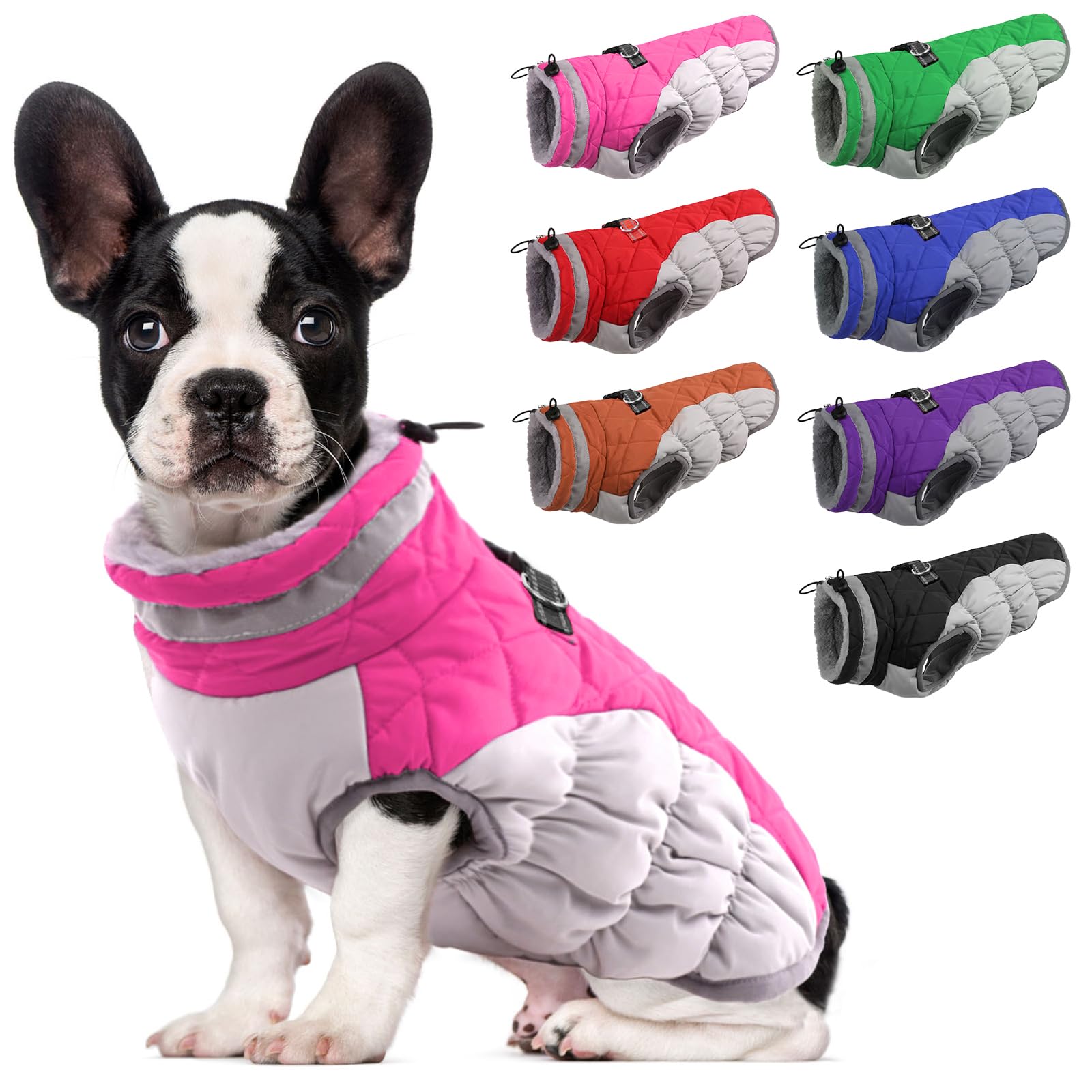 LeLePet dog coat warm waterproof exterior for outdoor walks in chilly weather.