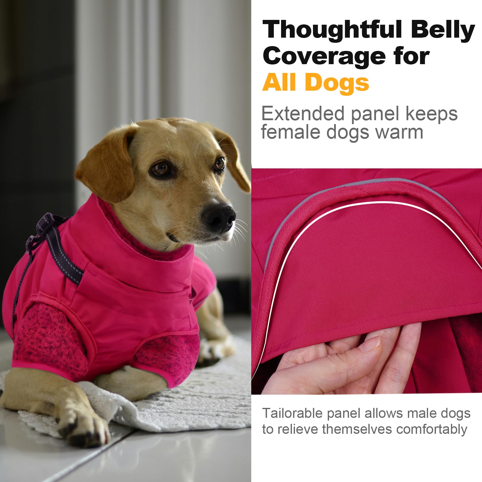 LeLePet dog coat winter outdoor walk ideal for snow and cold weather adventures.