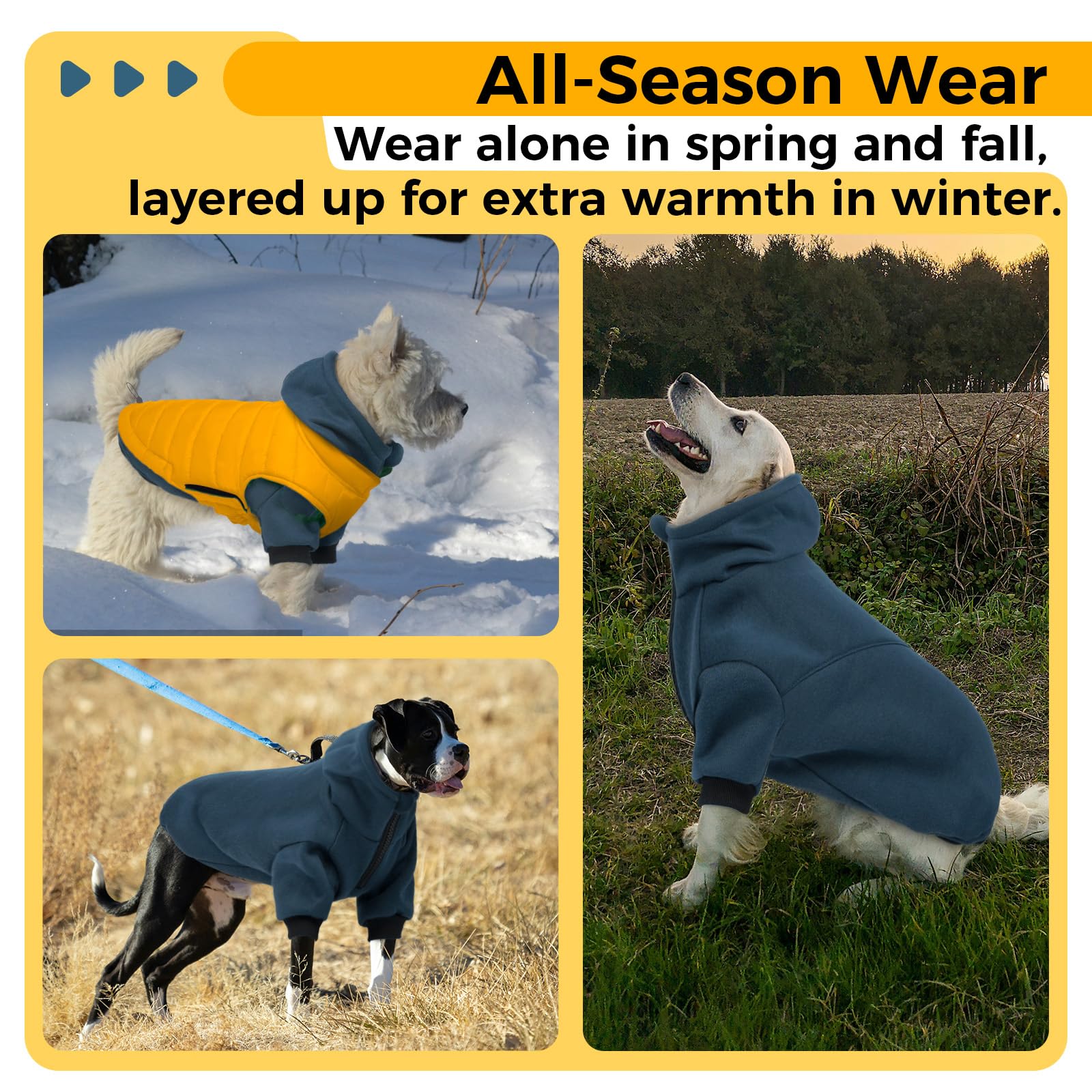 LeLePet dog hoodie blue color showcases casual outdoor gear for dogs.