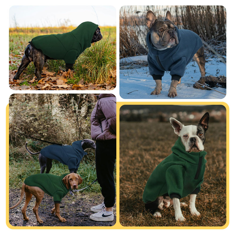 LeLePet hoodie green color on dog highlights versatile style for daily strolls.