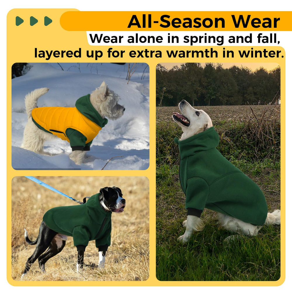 LeLePet hoodie worn on dog demonstrates practical design during daily activities.