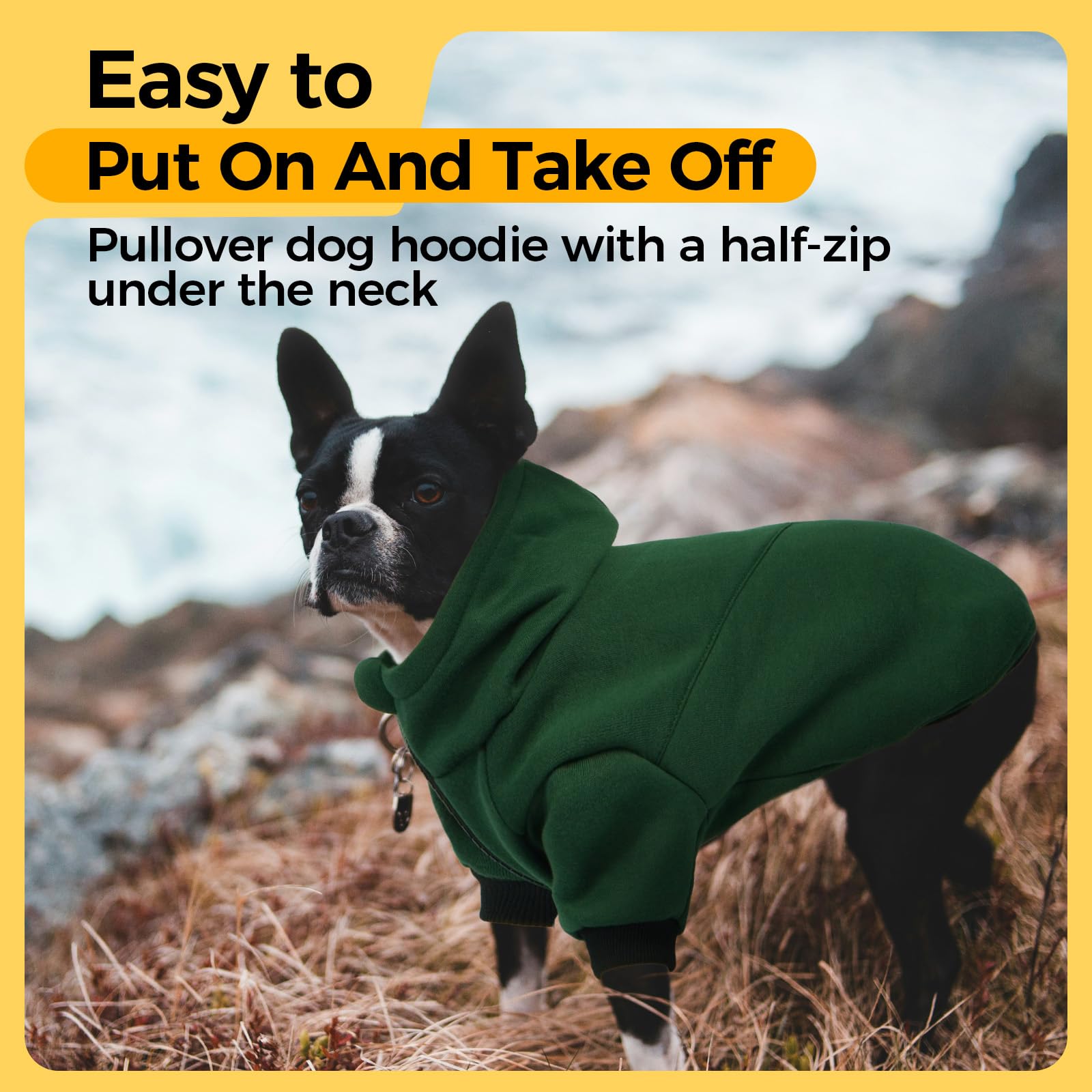 LeLePet zipper detail highlights quick on-off access for wiggle-prone dogs.