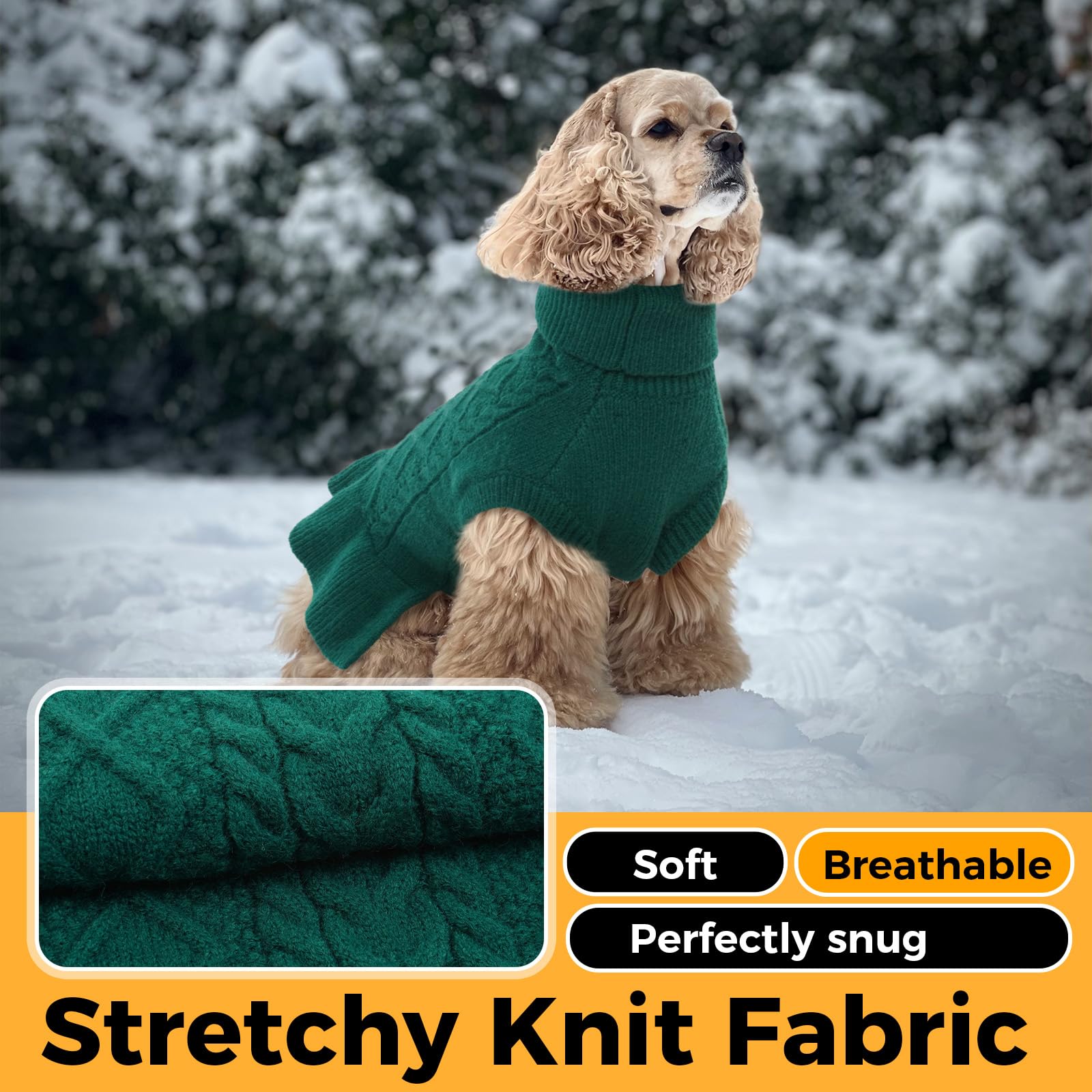 Lelepet dog in green sweater demonstrates holiday-ready look