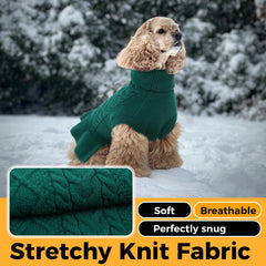 Lelepet dog in green sweater demonstrates holiday-ready look