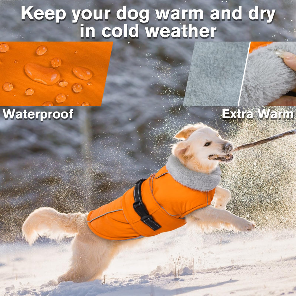 LeLePet reflective fleece vest on a dog jacket for night safety.