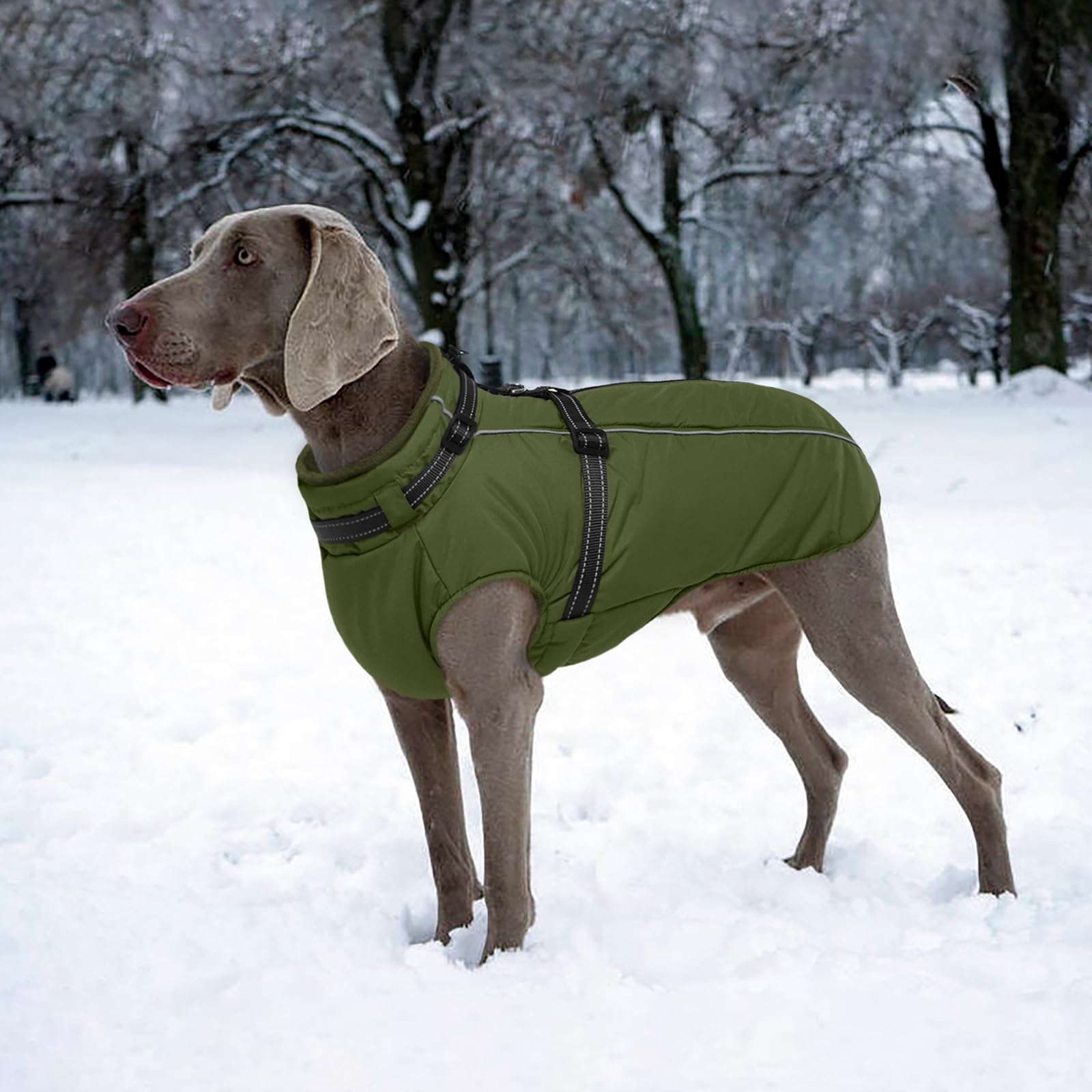 LeLePet reflective parka detail boosts nighttime visibility for dogs.