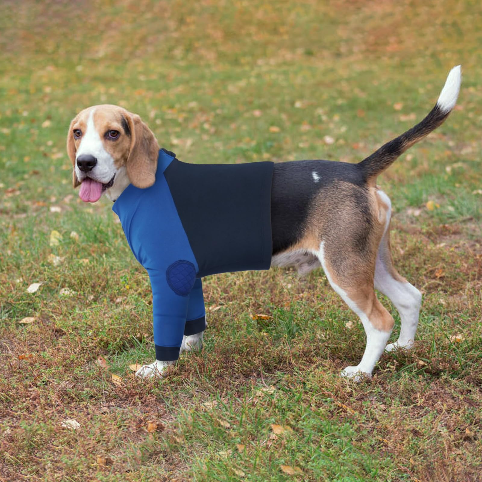 LeLePet dog recovery suit easy-wear design supports comfortable recovery