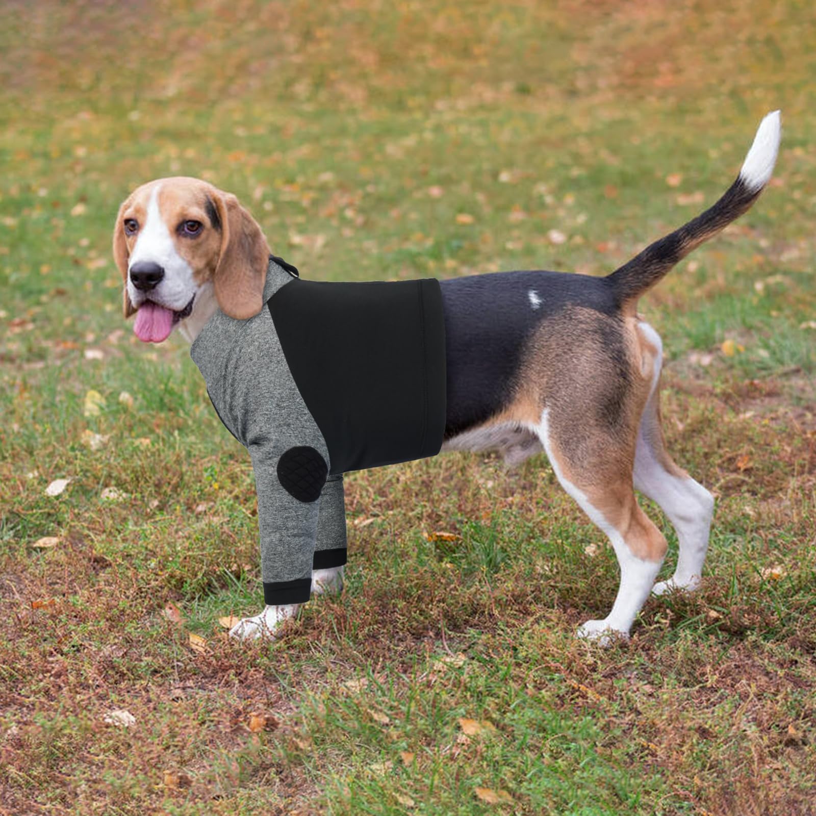 LeLePet recovery-suit happy-dog-owner scene shows satisfied, comfy pet.