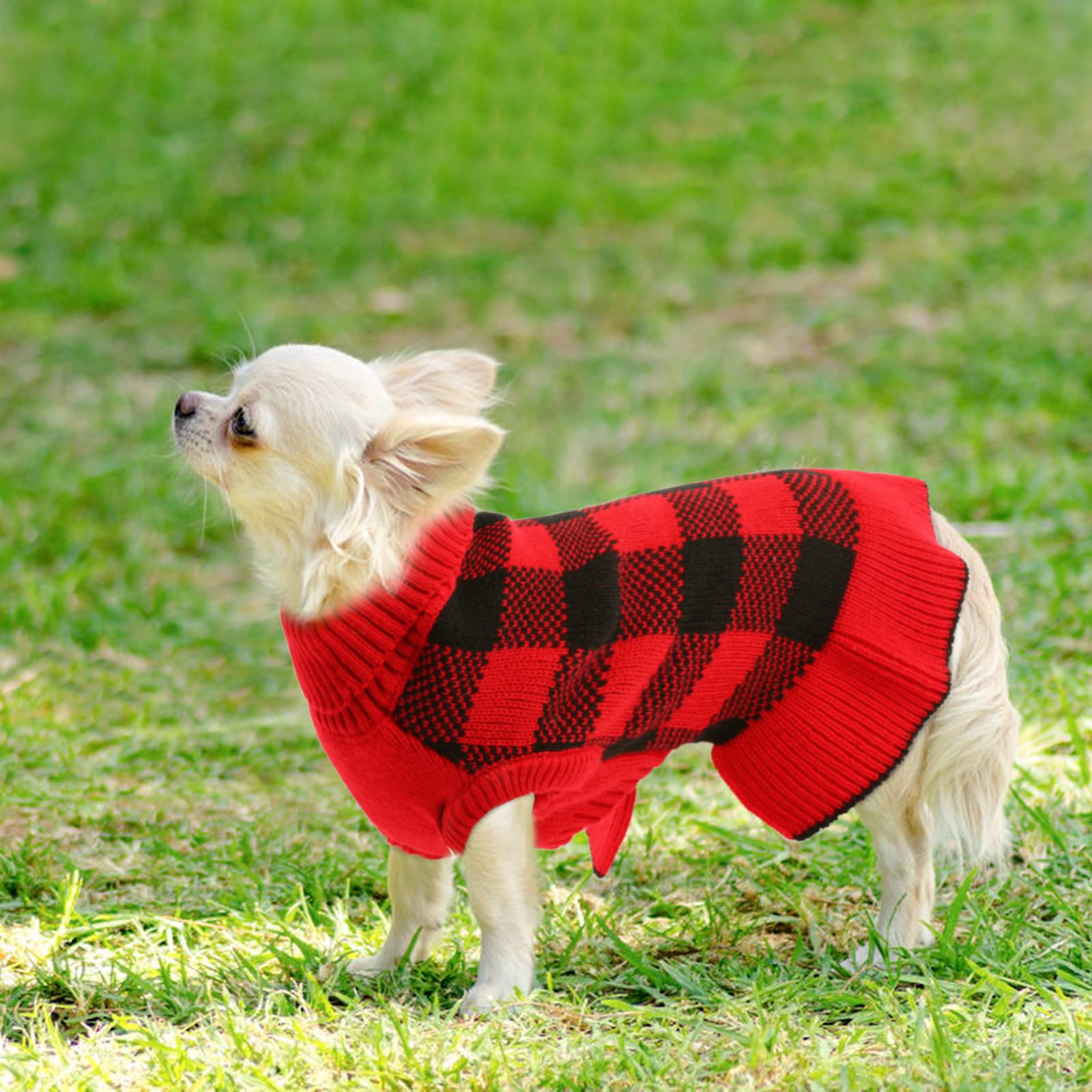 LeLePet red Christmas dog sweater dress ready for holiday photos.
