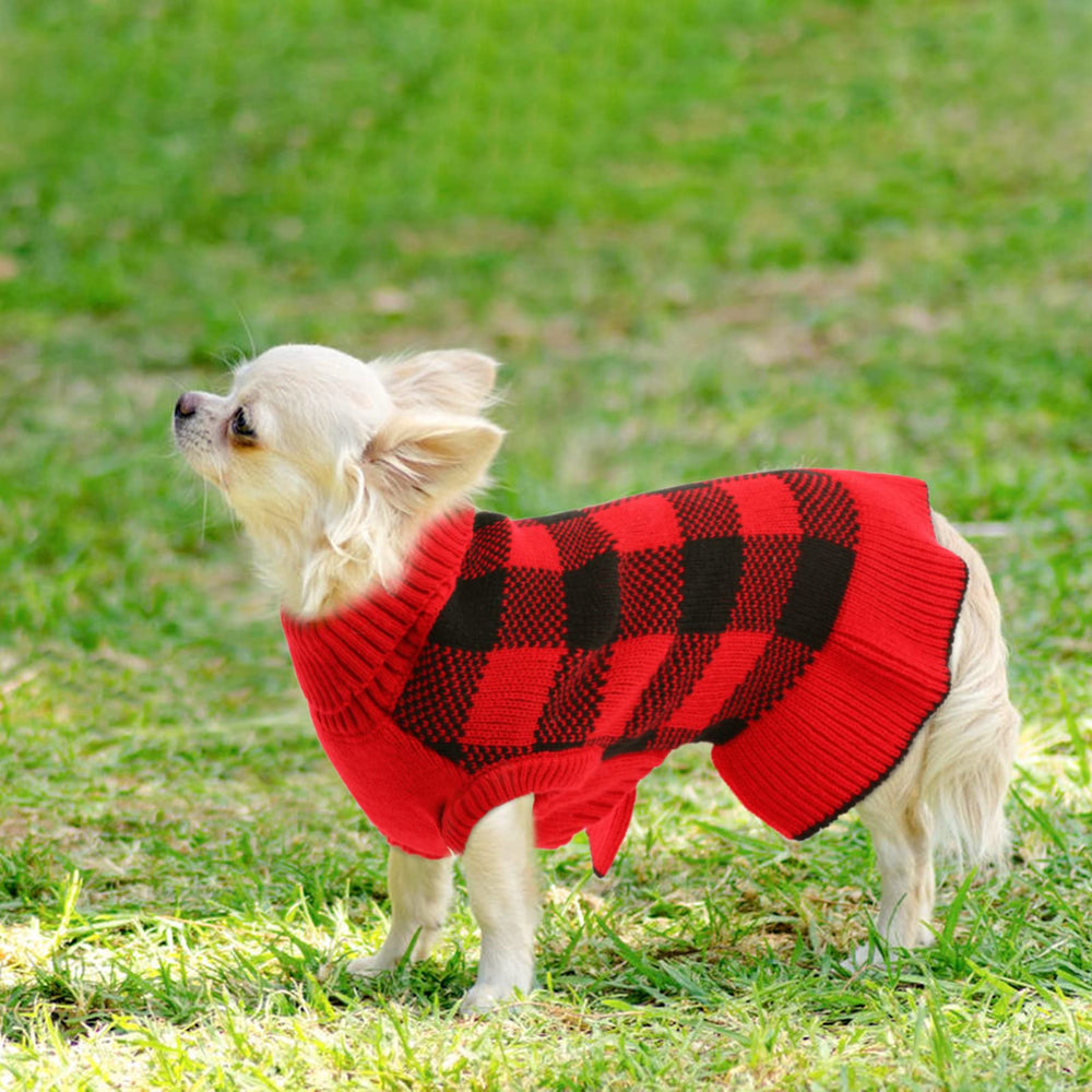 LeLePet red Christmas dog sweater dress ready for holiday photos.
